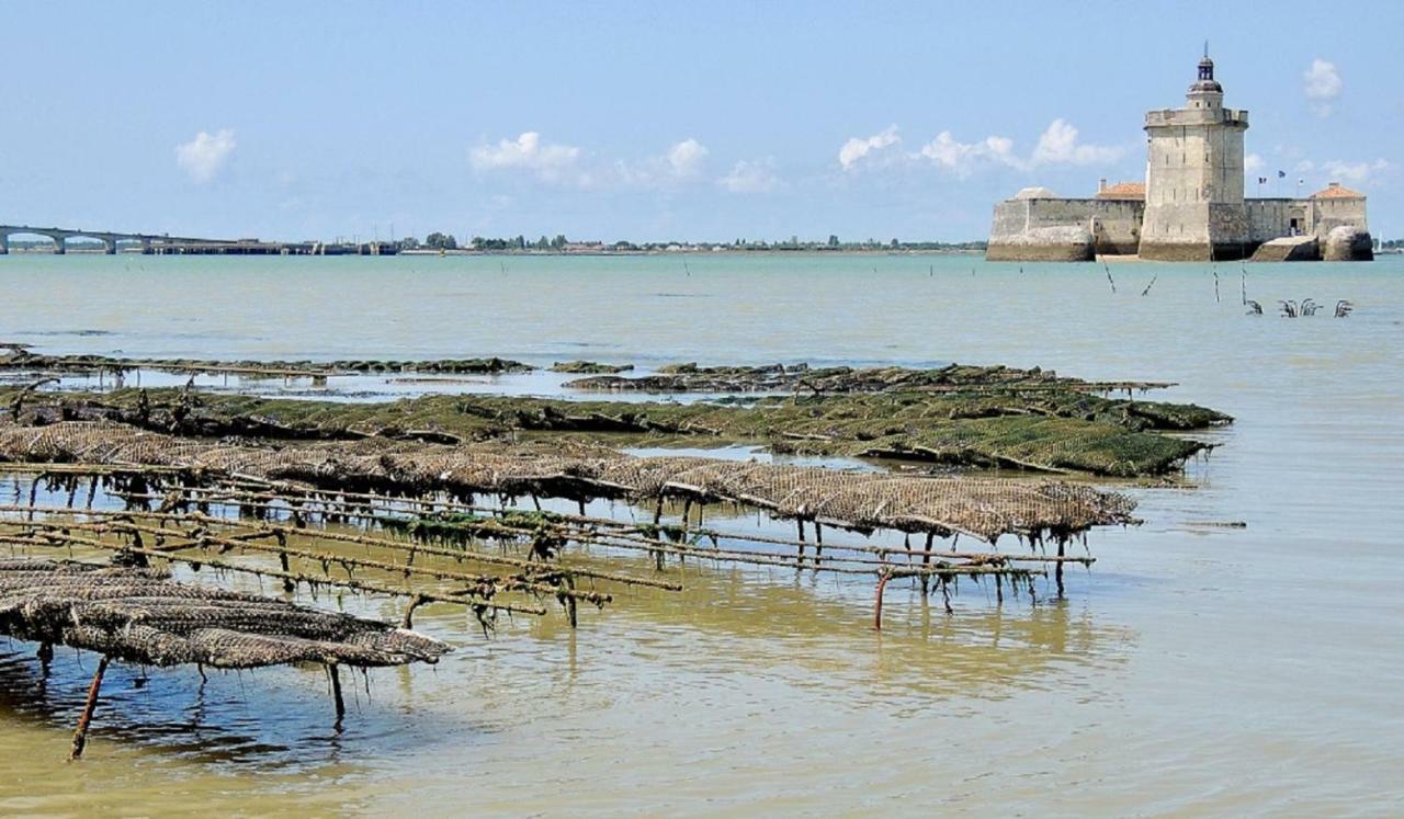 Gite Du Timbre Clion (Charente-Maritime) Exterior foto