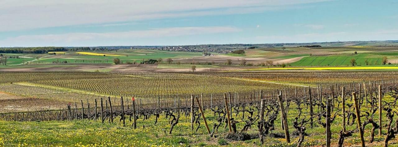 Gite Du Timbre Clion (Charente-Maritime) Exterior foto